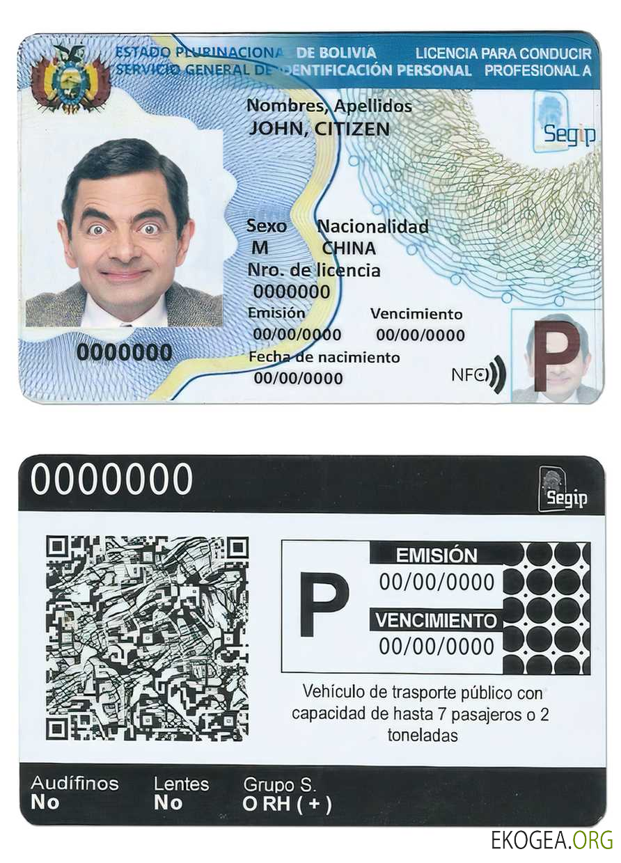 Bolivia driving license template in PSD format,fully editable(2017present)